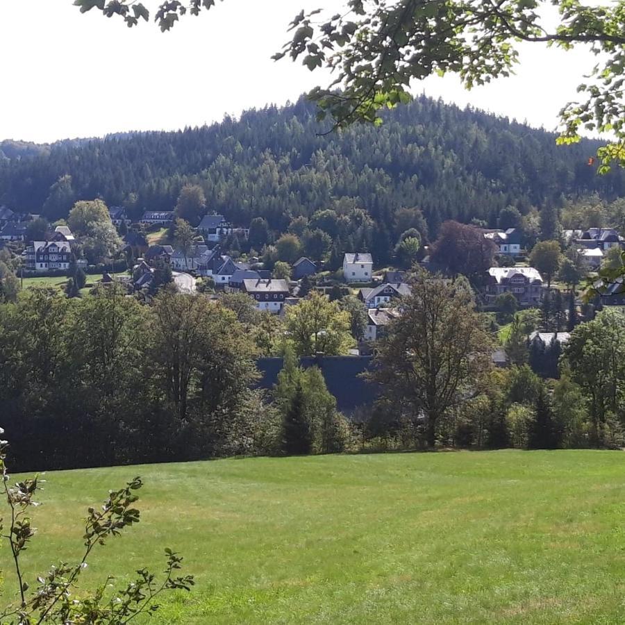 Haus Stefanie Elvire Appartement Altenberg Buitenkant foto