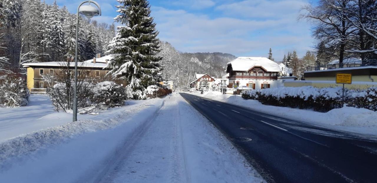 Haus Stefanie Elvire Appartement Altenberg Buitenkant foto