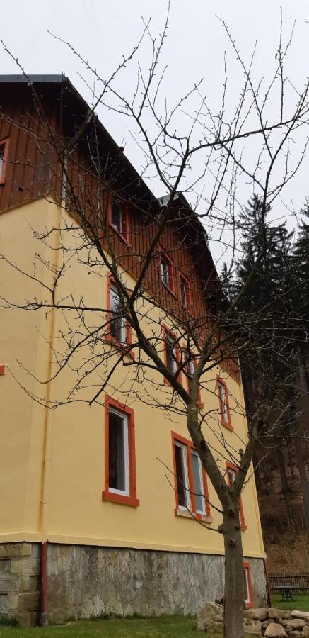 Haus Stefanie Elvire Appartement Altenberg Buitenkant foto