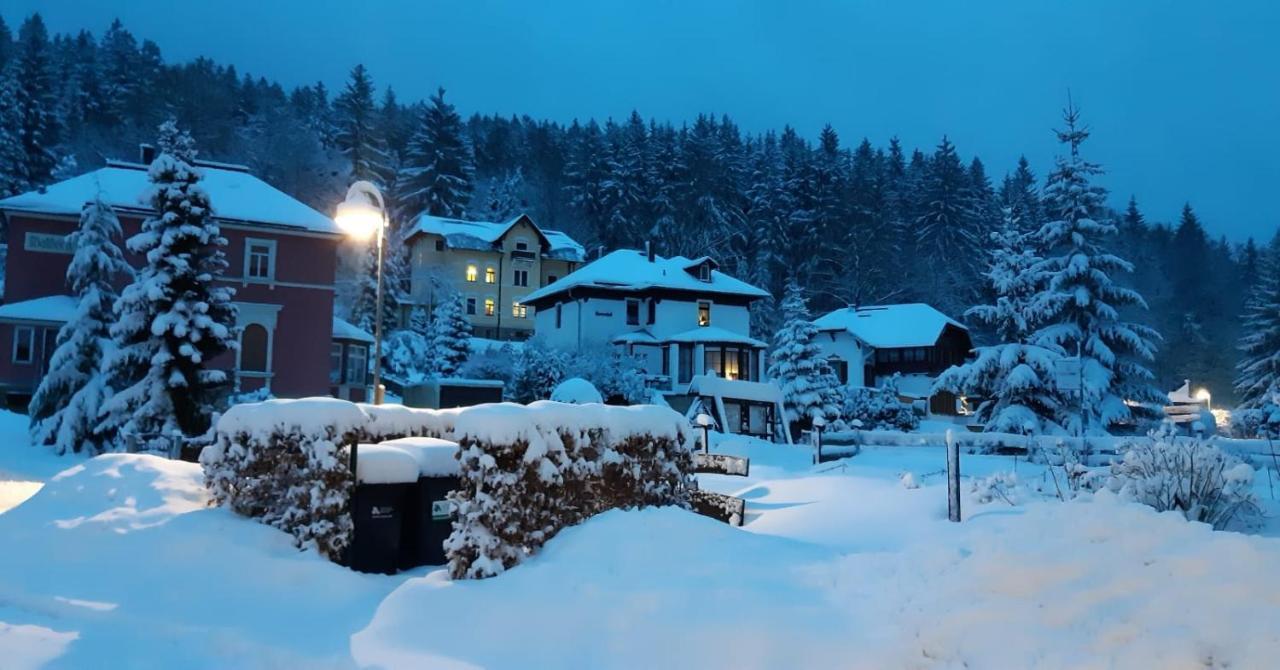 Haus Stefanie Elvire Appartement Altenberg Buitenkant foto