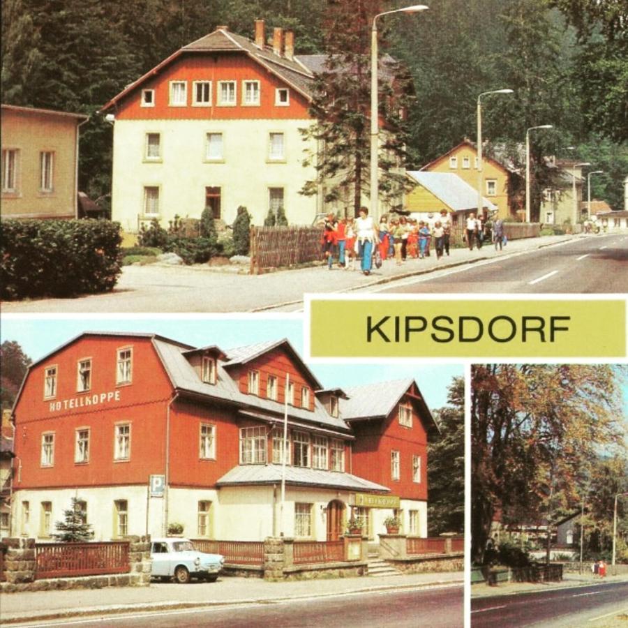Haus Stefanie Elvire Appartement Altenberg Buitenkant foto