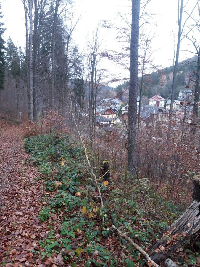 Haus Stefanie Elvire Appartement Altenberg Buitenkant foto