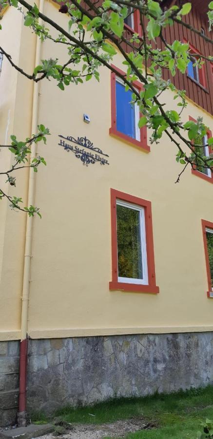 Haus Stefanie Elvire Appartement Altenberg Buitenkant foto
