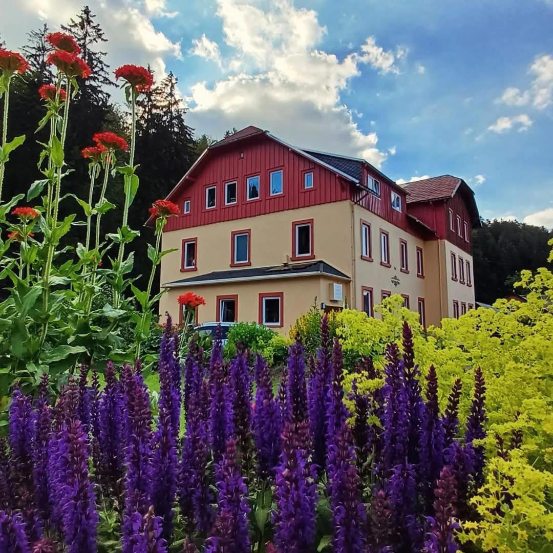 Haus Stefanie Elvire Appartement Altenberg Buitenkant foto